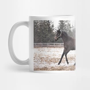 TB COLT Mug